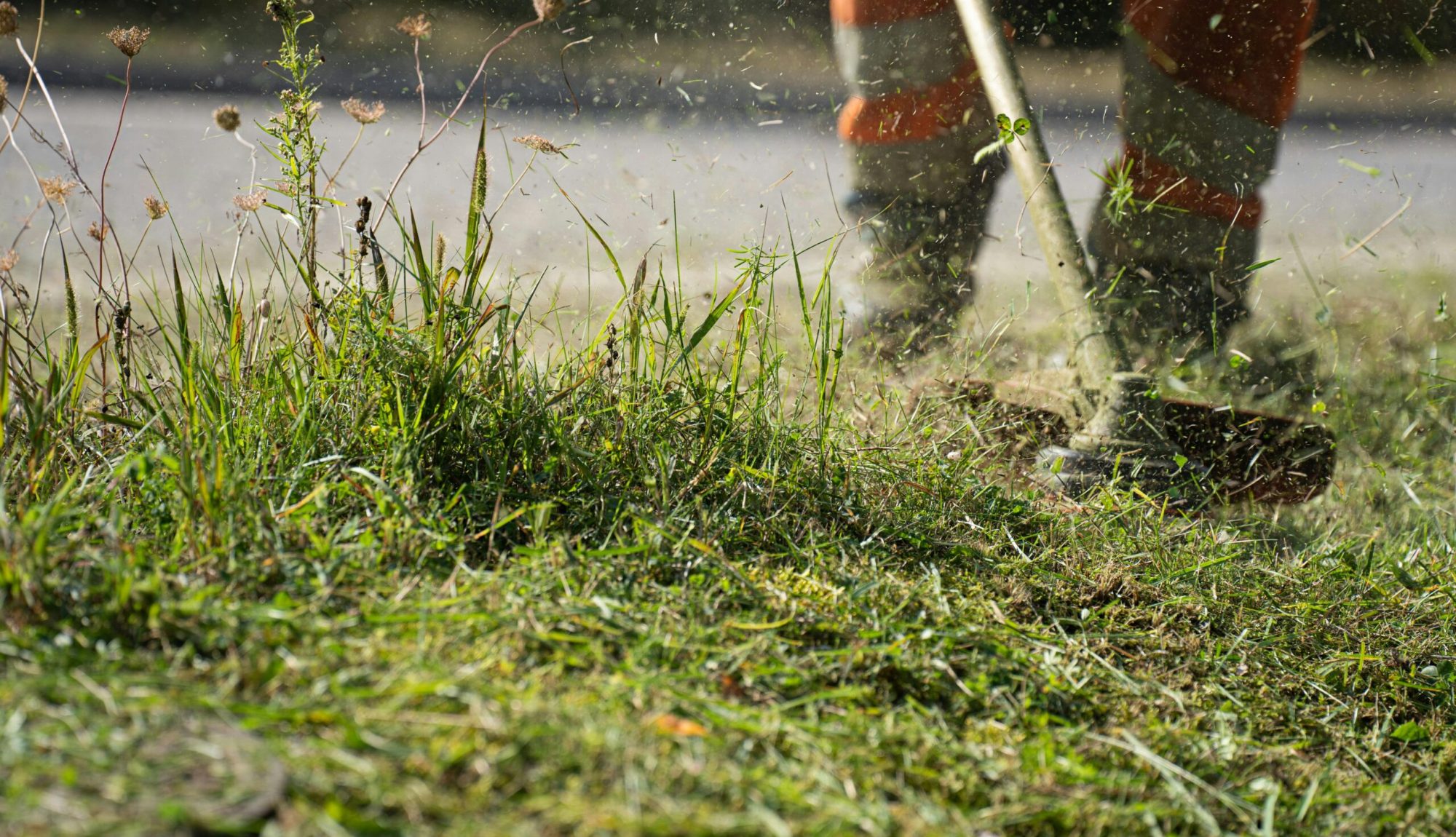 A worker in protective gear using a grass cutter to trim grass, capturing the dynamic action and flying clippings.